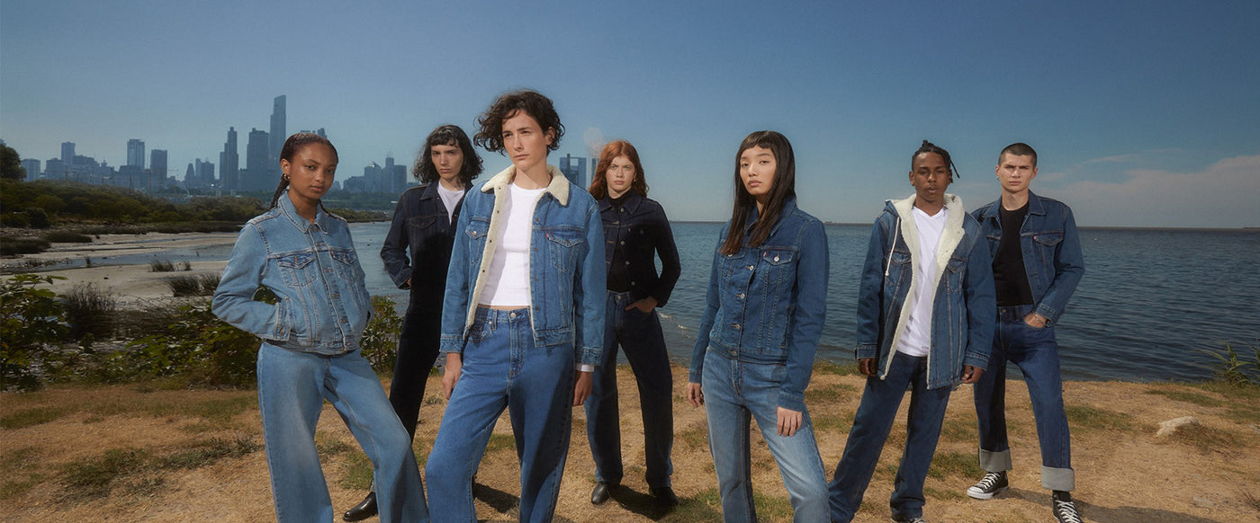 Levis Demin