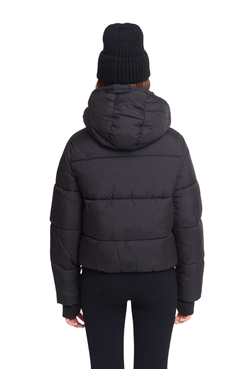 CAMPERA ASTERISK