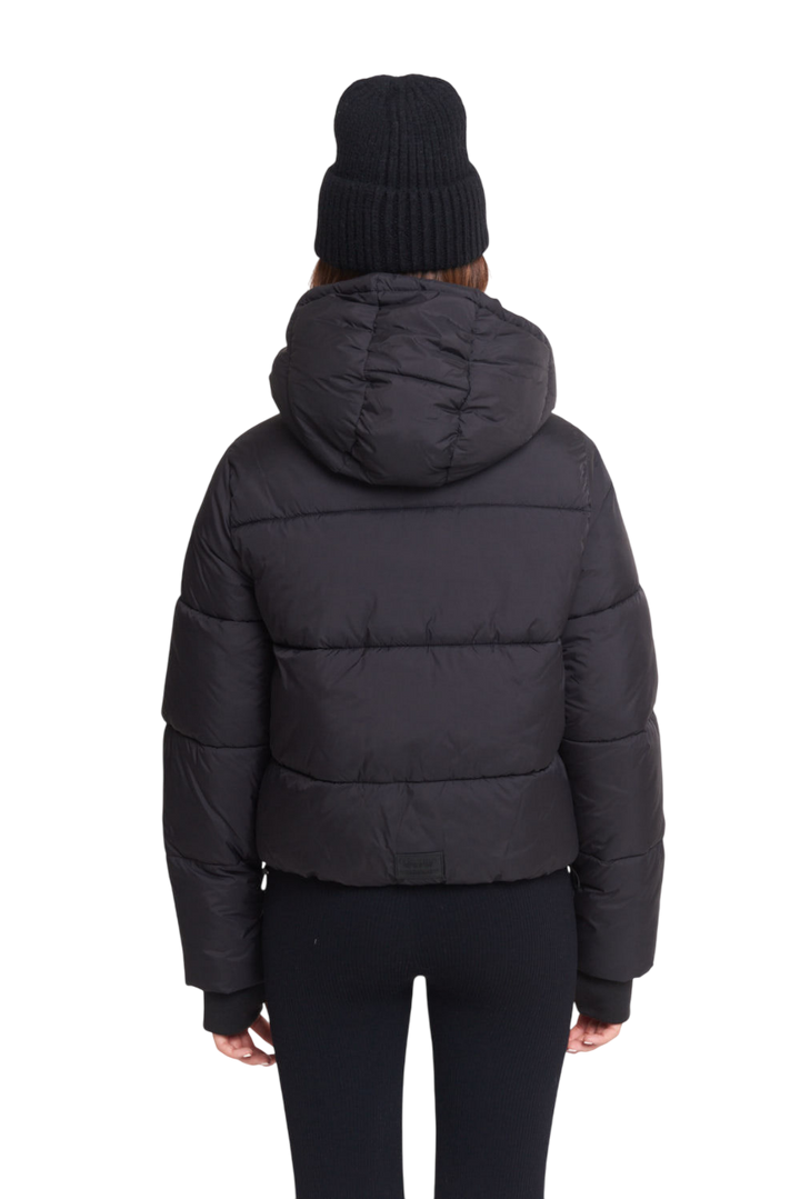 CAMPERA ASTERISK
