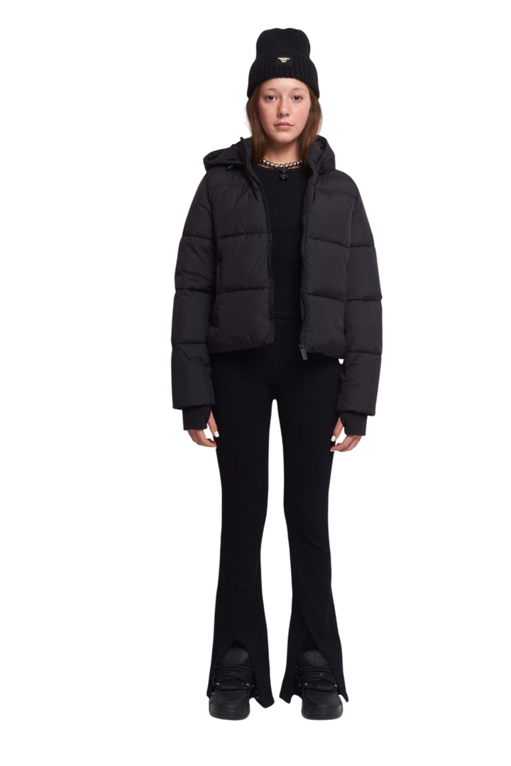 CAMPERA ASTERISK