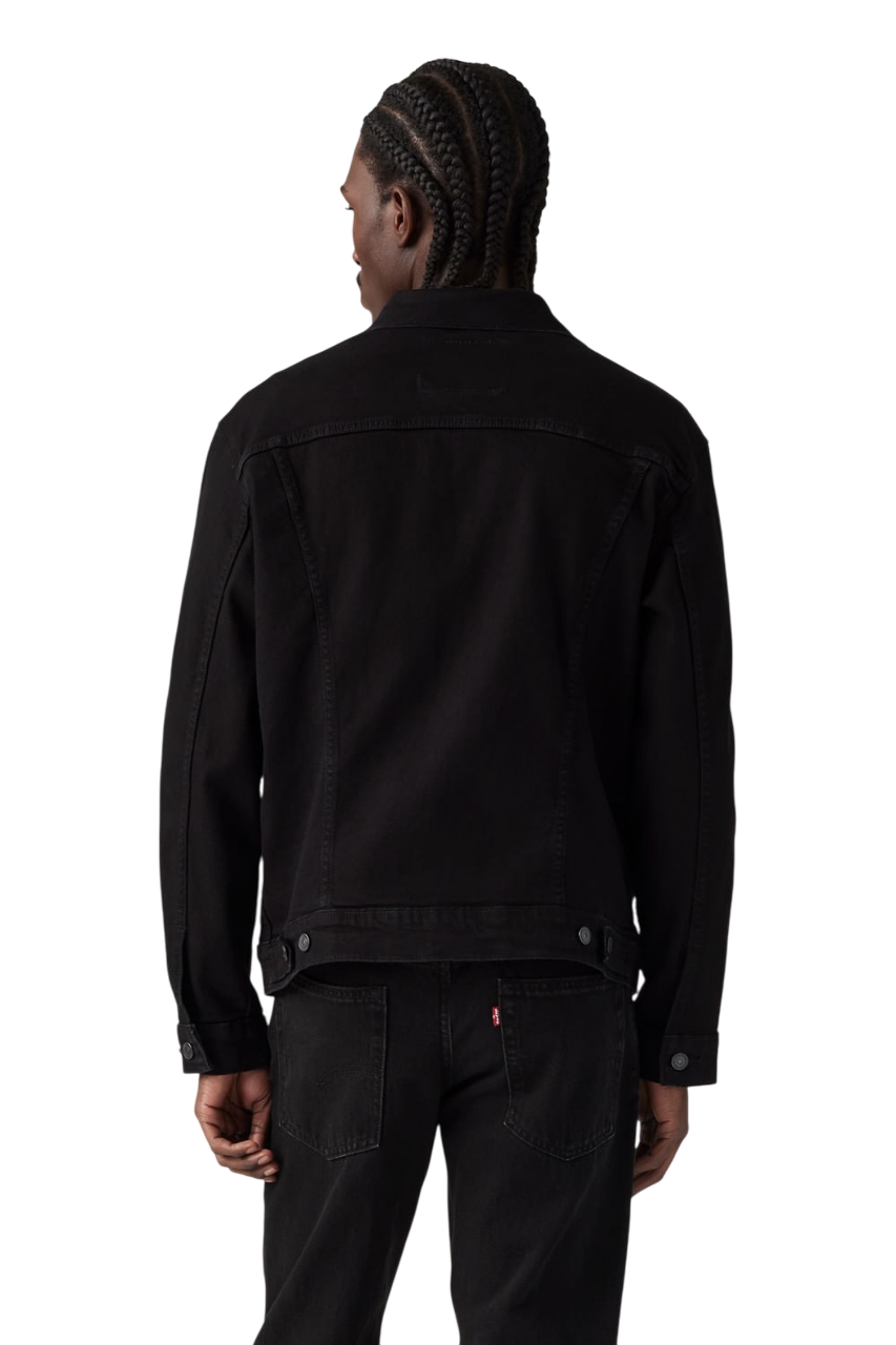 Campera The Trucker Jacket