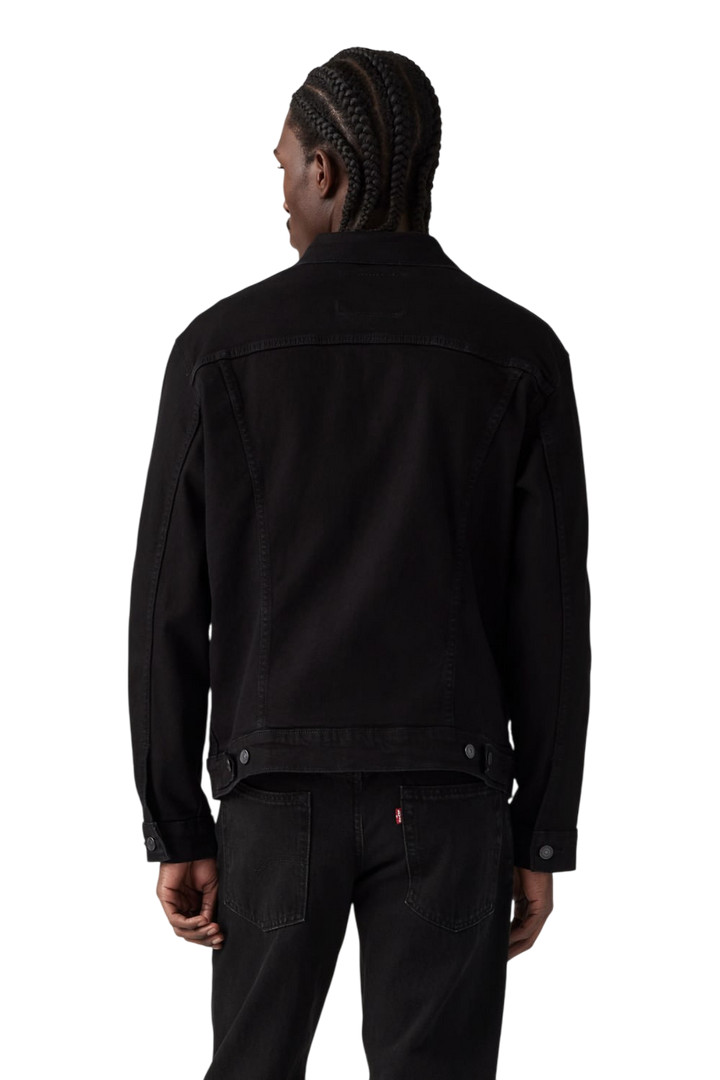 Campera The Trucker Jacket
