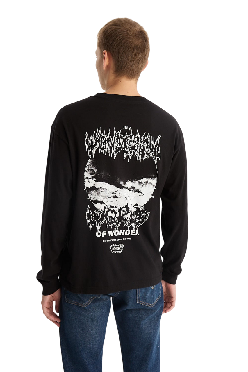 Remera Ls Graphic Wonder World