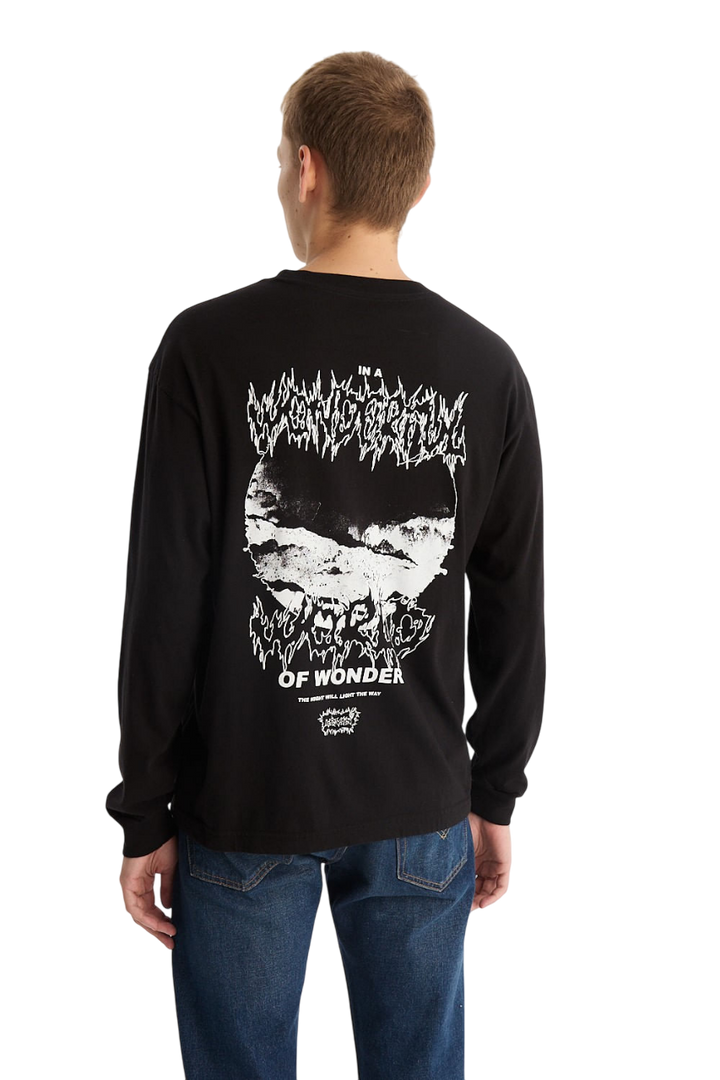Remera Ls Graphic Wonder World