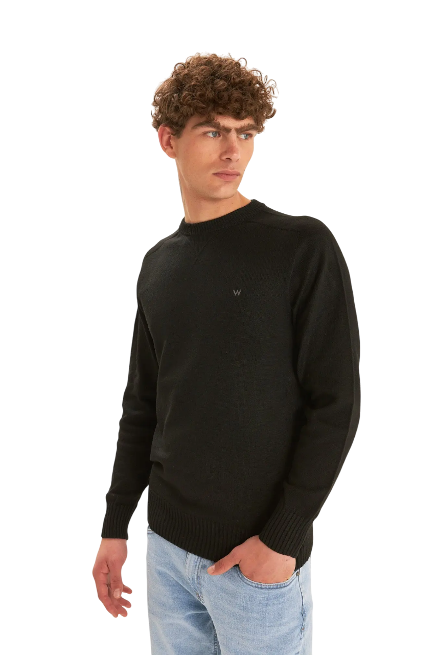 Sweater Guinter V
