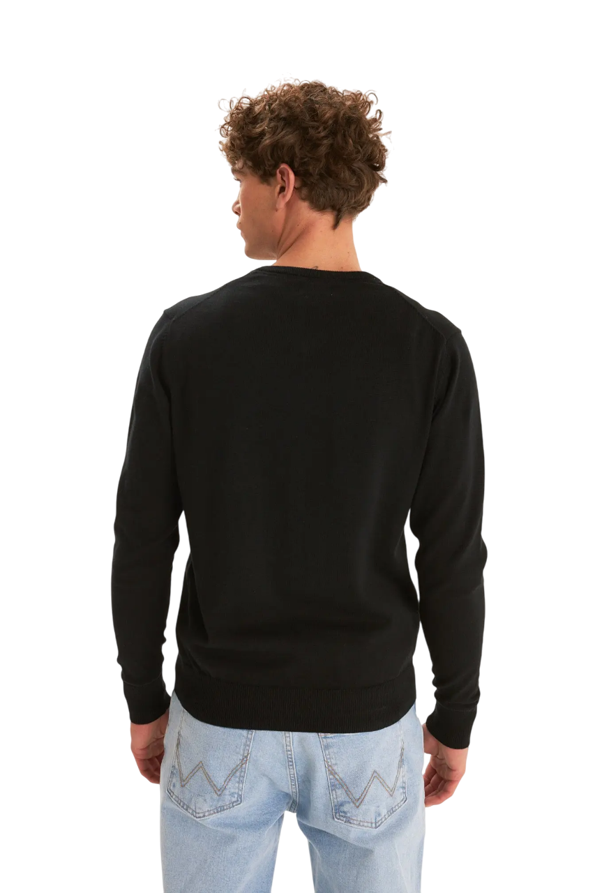 Sweater Guinter V