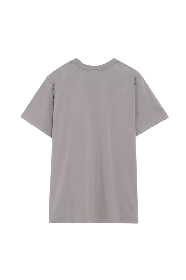 REMERA HT USA