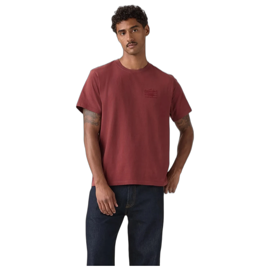 Remera Levis Relaxed Graphic Tee Small Levis American Hombre