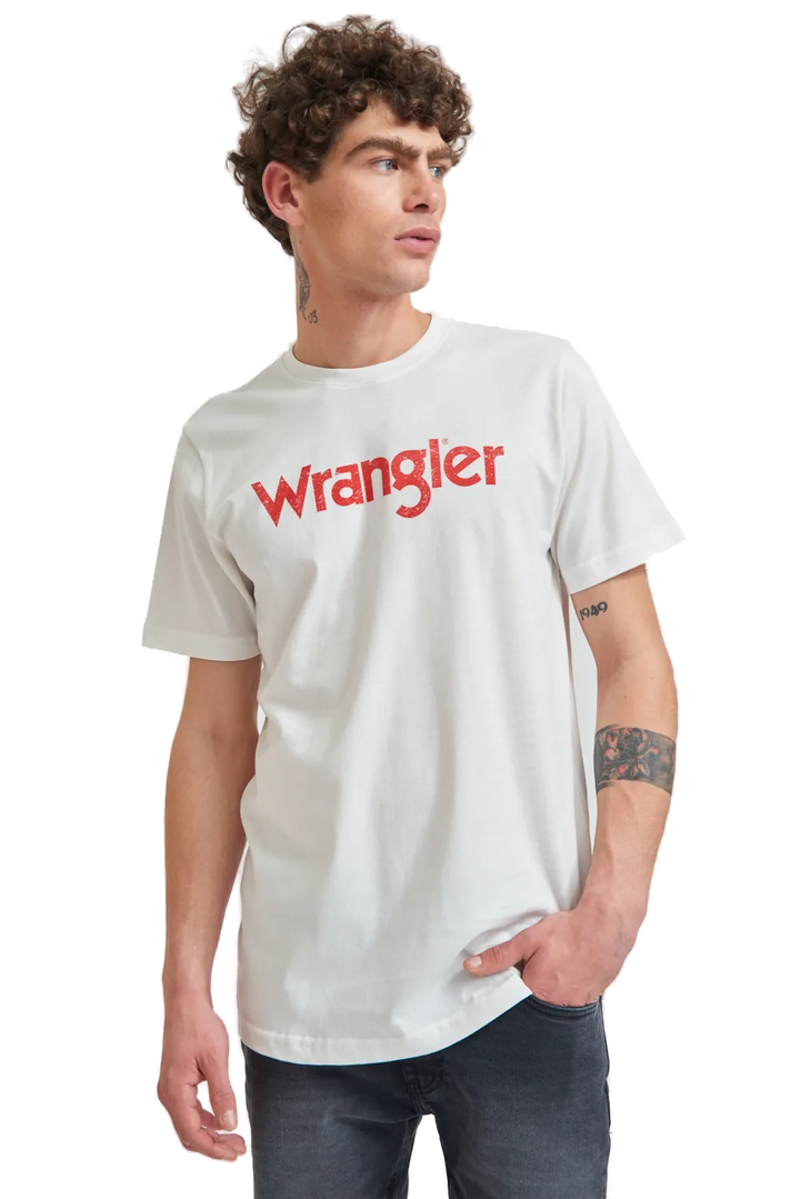 Remera Logo Vintage SS