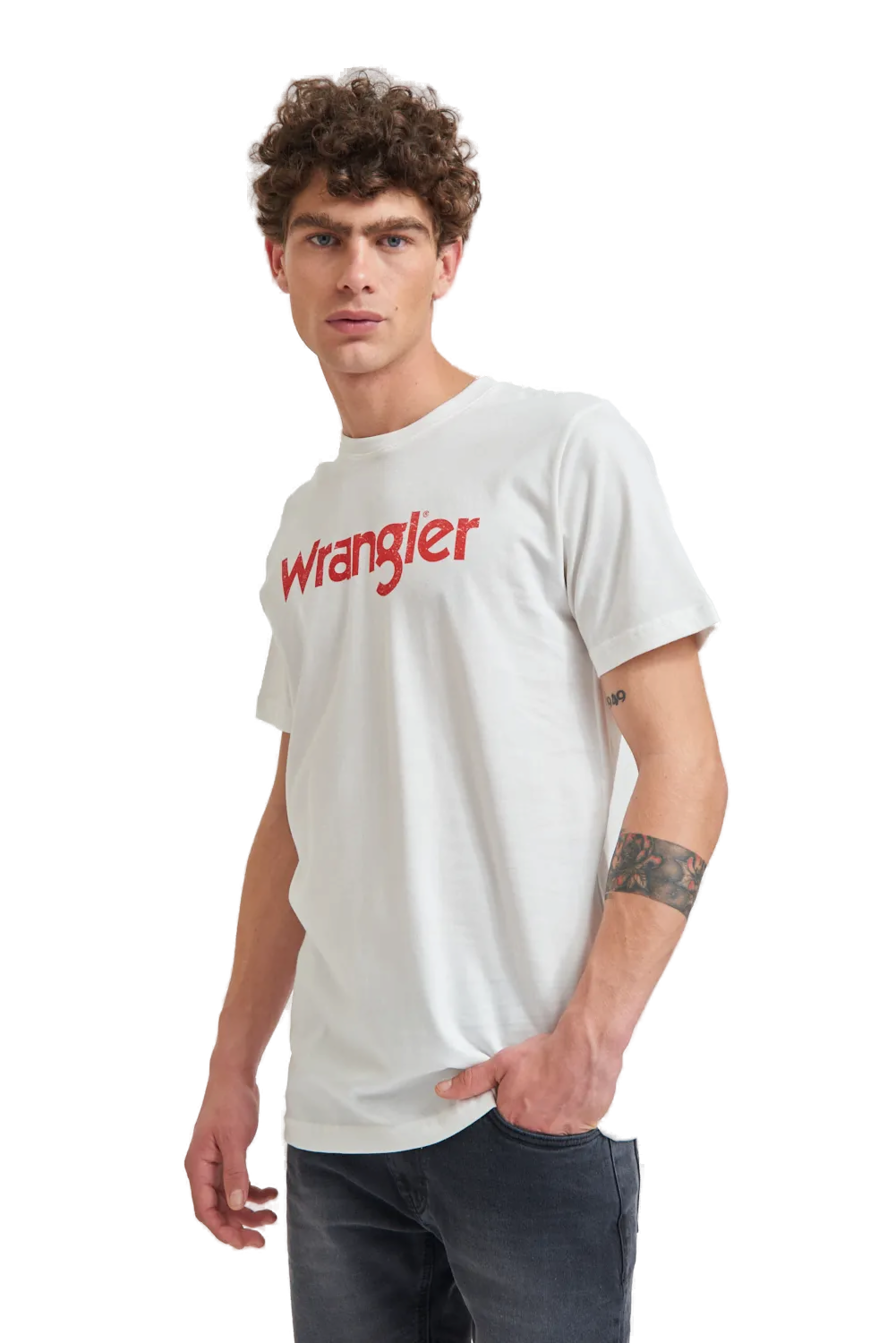 Remera Logo Vintage SS