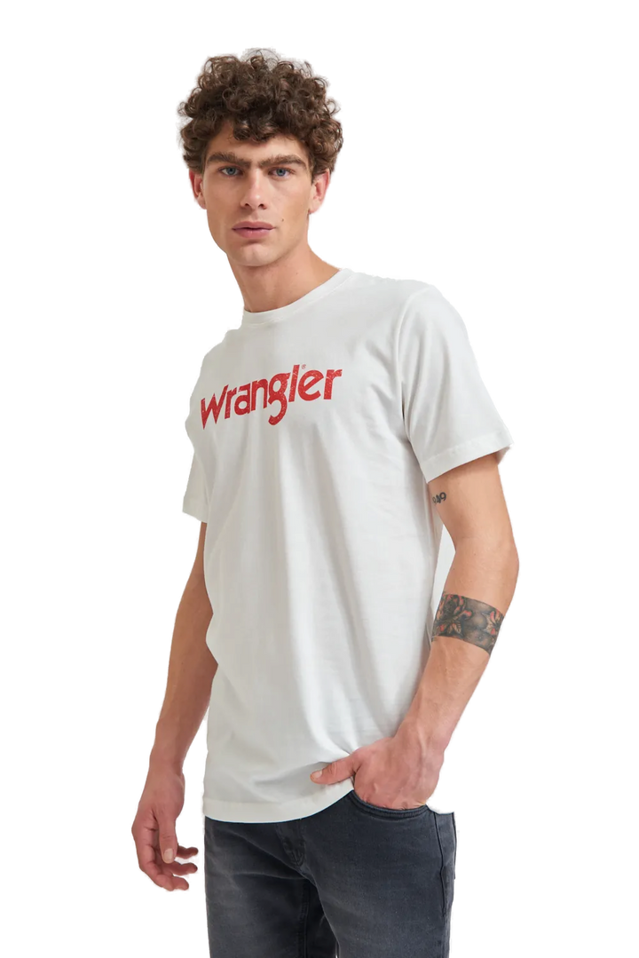 Remera Logo Vintage SS