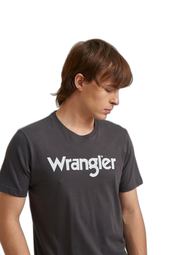 Remera Logo Vintage SS