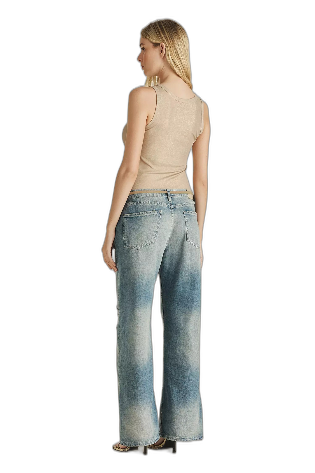 MUSCULOSA PALM