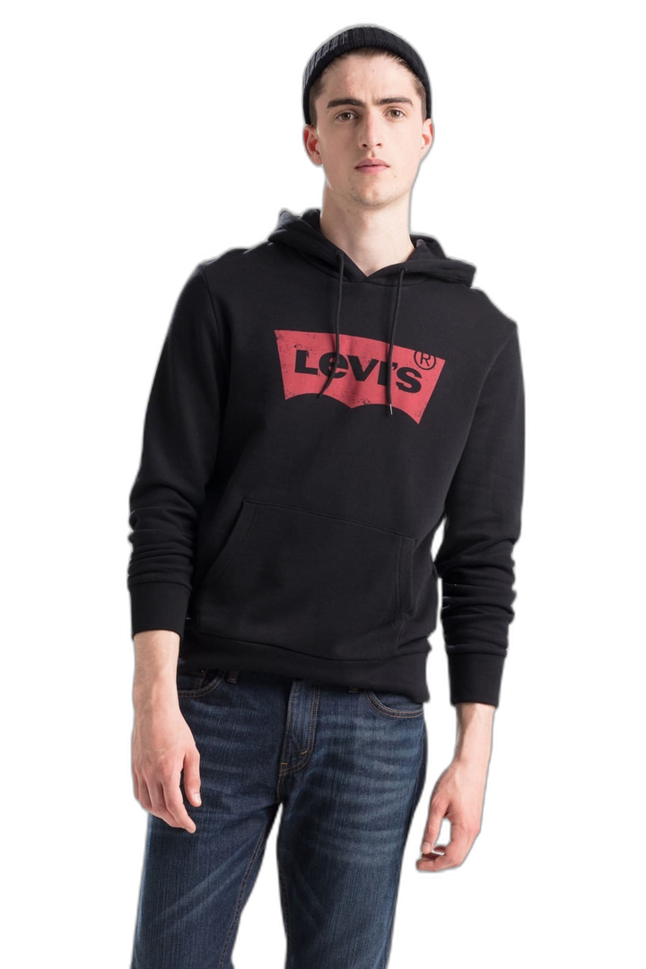Buzo Graphic PO Hoodie