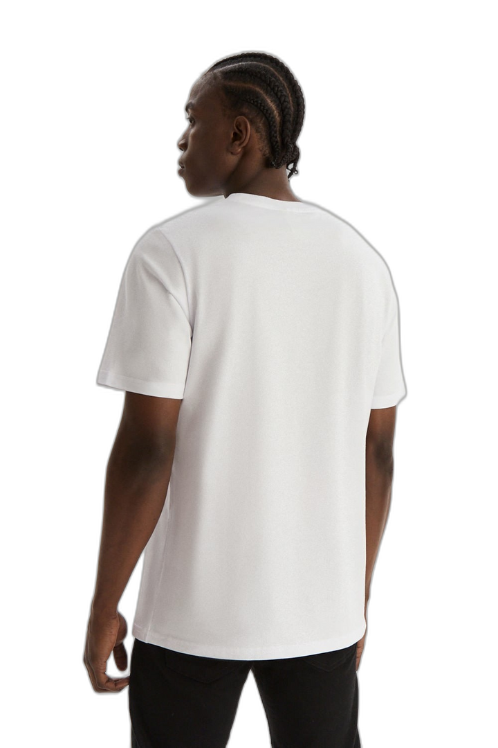 Remera Standard Graphic Crew Batwing