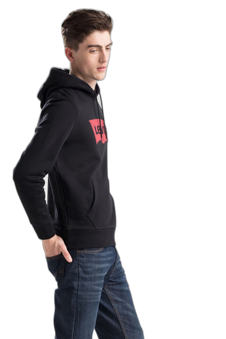 Buzo Graphic PO Hoodie