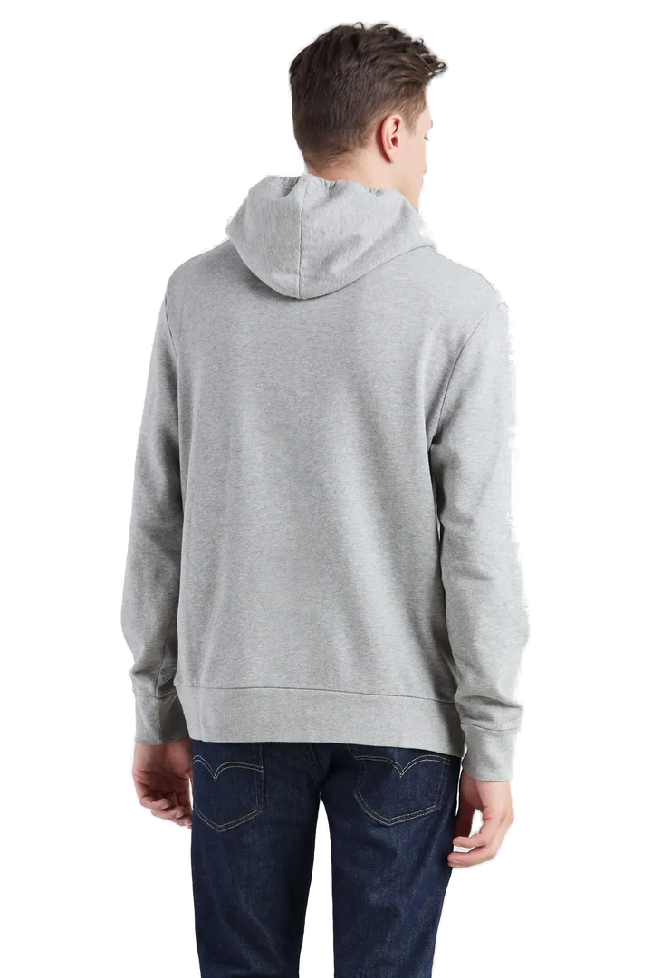 Buzo Graphic PO Hoodie