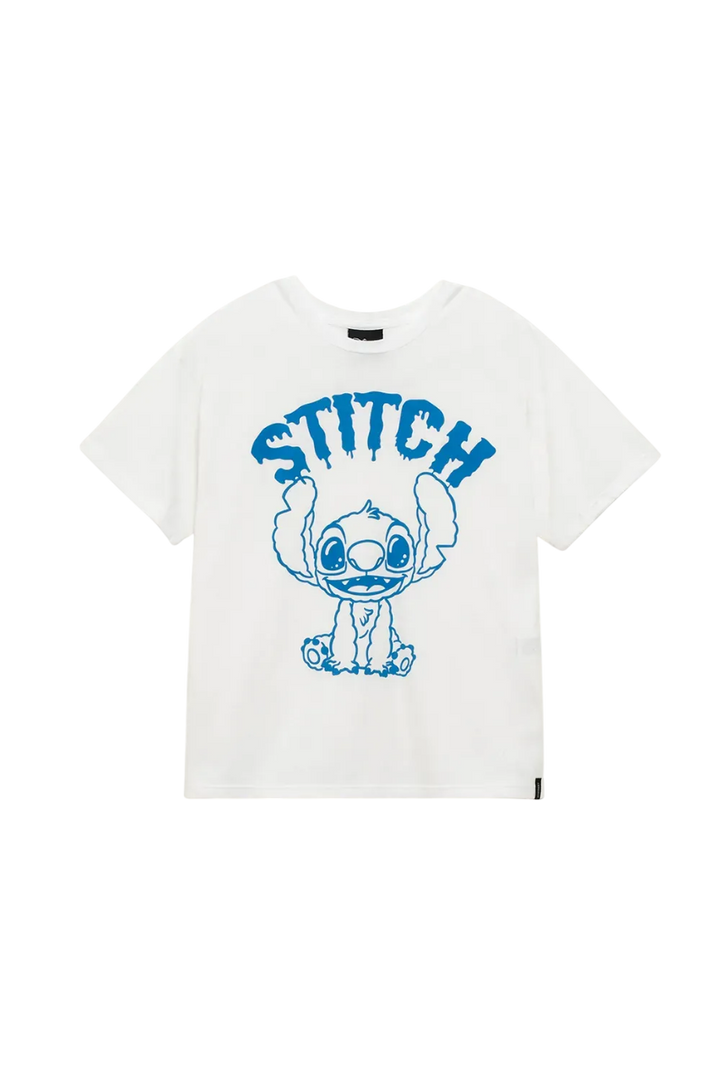 REMERA DISNEY BRUSH M