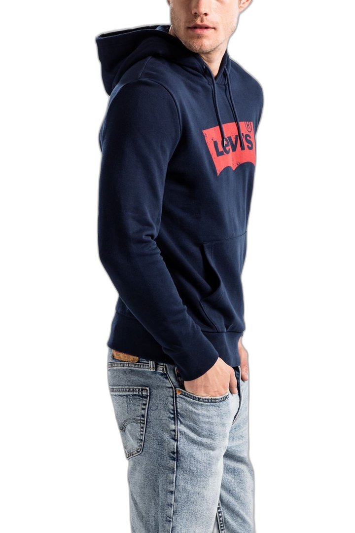Buzo Graphic PO Hoodie