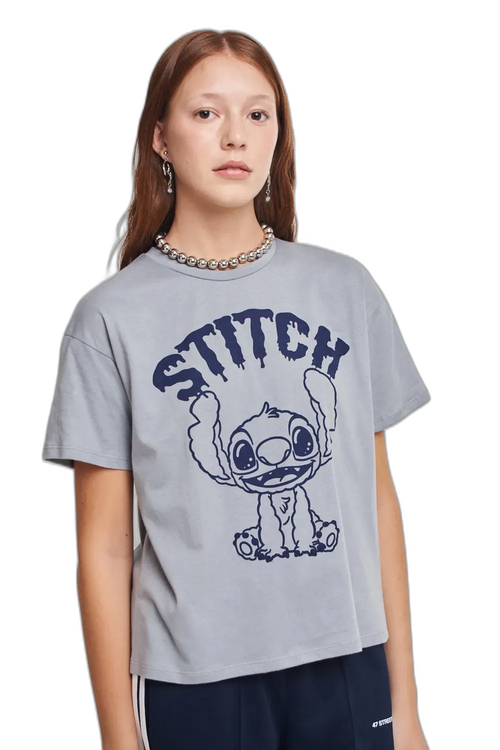 REMERA DISNEY BRUSH M