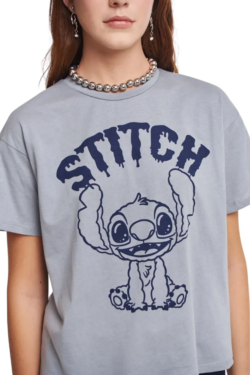REMERA DISNEY BRUSH M