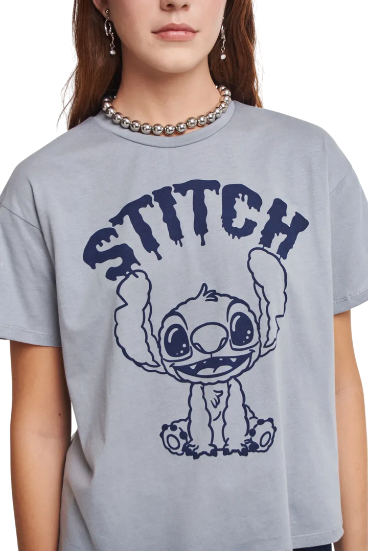 REMERA DISNEY BRUSH M