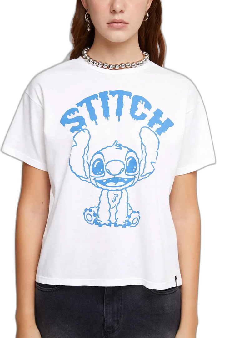 REMERA DISNEY BRUSH M