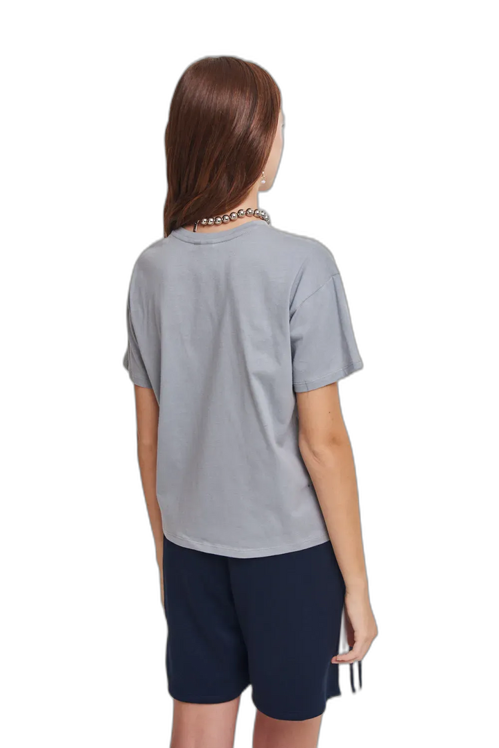 REMERA DISNEY BRUSH M