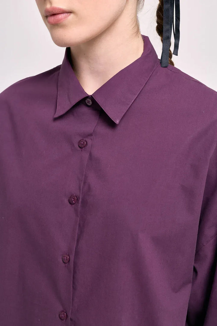 CAMISA GROUP