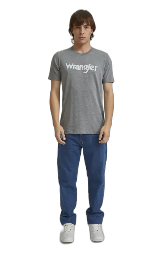 Remera Logo Vintage SS