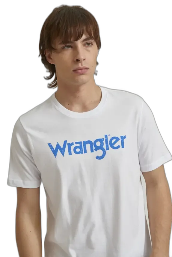 Remera Logo Vintage SS
