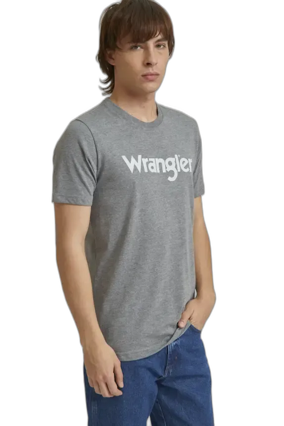 Remera Logo Vintage SS