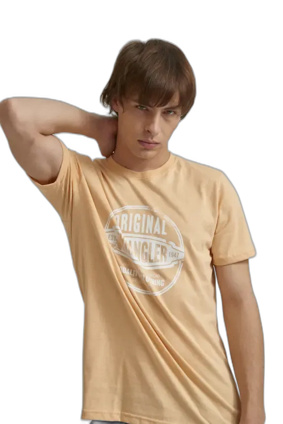 Remera Graphic Edge SS