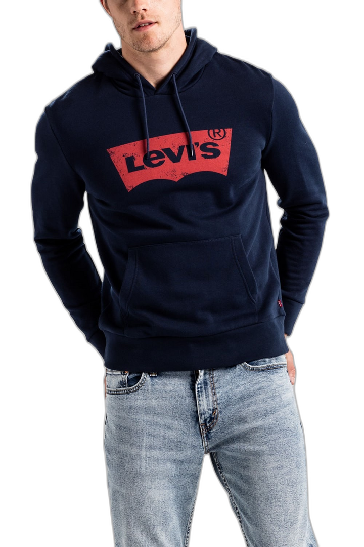 Buzo Graphic PO Hoodie