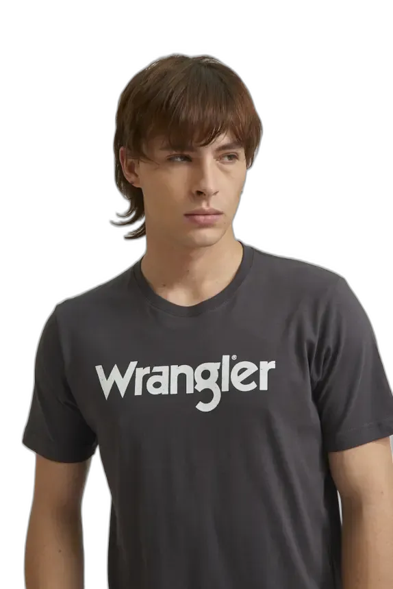 Remera Logo Vintage SS