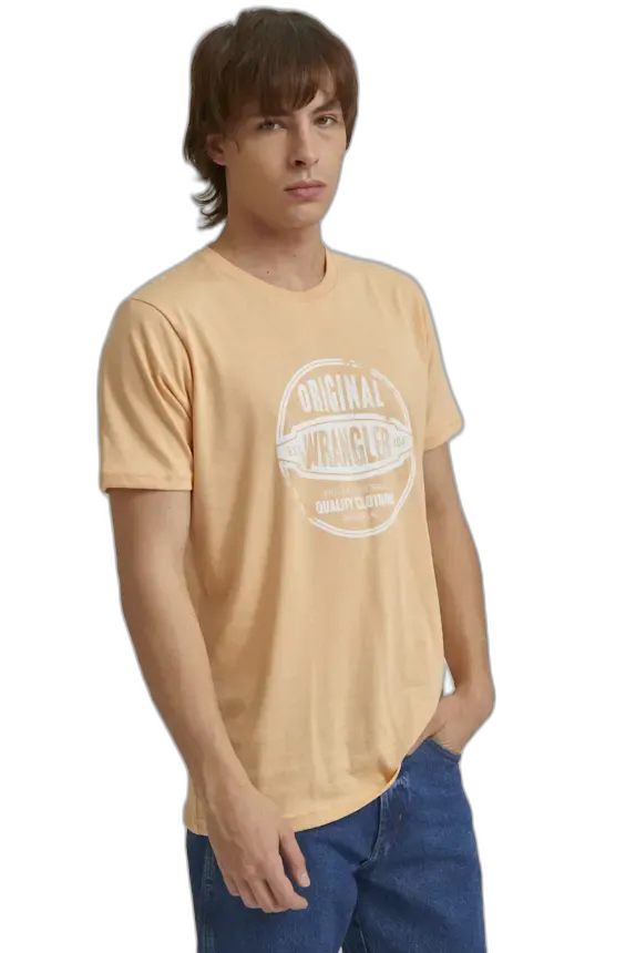 Remera Graphic Edge SS