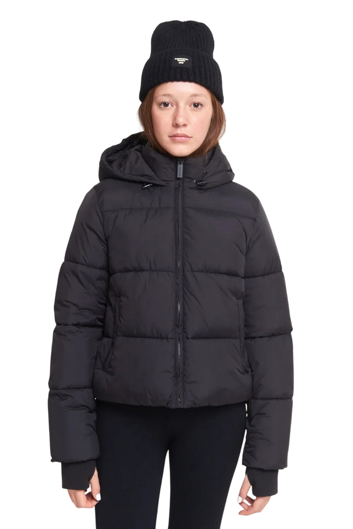 CAMPERA ASTERISK